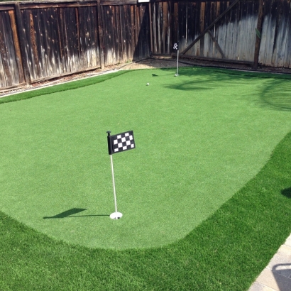 Fake Grass Olympia, Washington Putting Green Carpet, Backyard