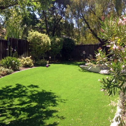 Fake Grass Potomac, Maryland Landscape Photos, Backyard Ideas