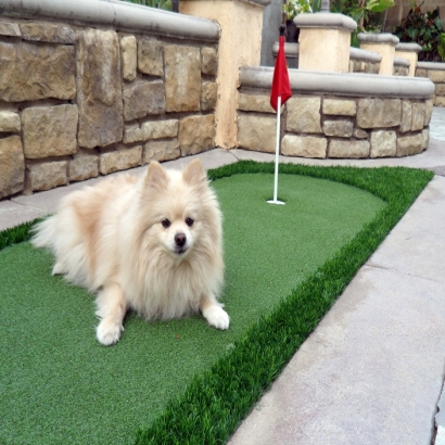 Fake Grass Russellville, Arkansas Backyard Playground, Dogs Runs