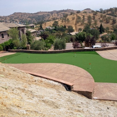 Fake Grass Southglenn, Colorado Landscape Design, Backyard Landscaping Ideas