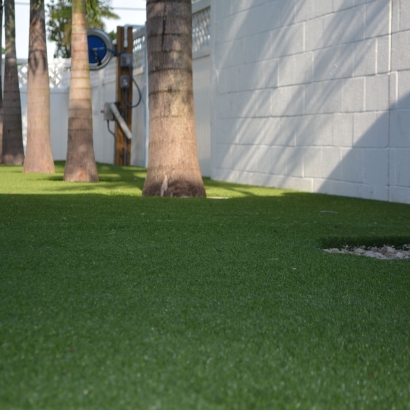 Fake Grass University Park, Florida Landscape Design, Commercial Landscape