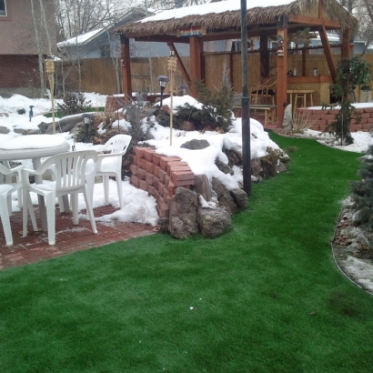 Fake Grass West Orange, New Jersey Garden Ideas, Backyard Garden Ideas