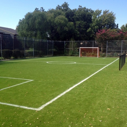 Fake Grass West Seneca, New York Sports Athority, Commercial Landscape