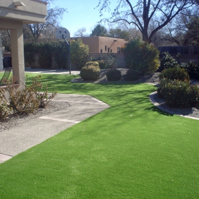 Fake Lawn Chesterfield, Missouri Landscape Design, Front Yard Landscaping