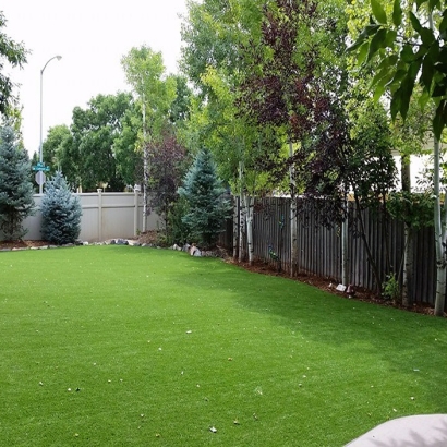 Fake Lawn Dracut, Massachusetts Dog Grass, Backyard Garden Ideas