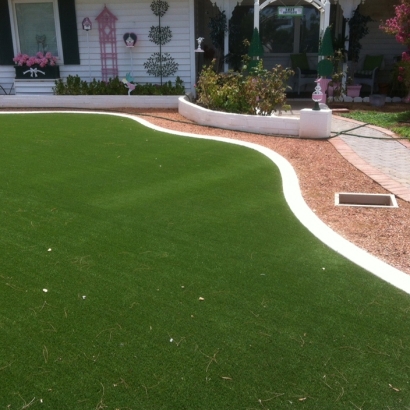 Fake Lawn Kokomo, Indiana Gardeners, Front Yard Ideas