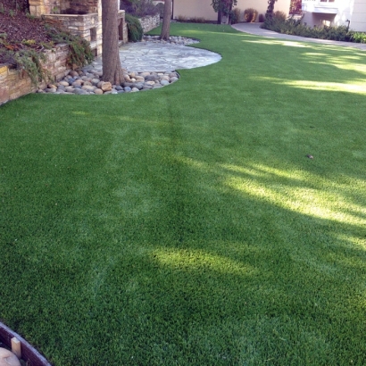 Fake Lawn McMinnville, Oregon Lawns, Backyard Designs