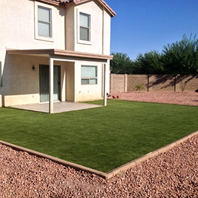 Fake Lawn San Carlos, California Backyard Playground, Backyard Ideas