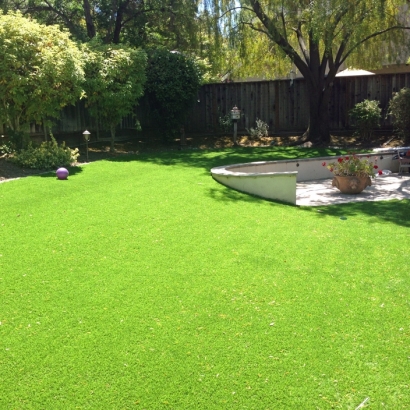 Fake Lawn Strongsville, Ohio Lawn And Garden, Backyard Ideas