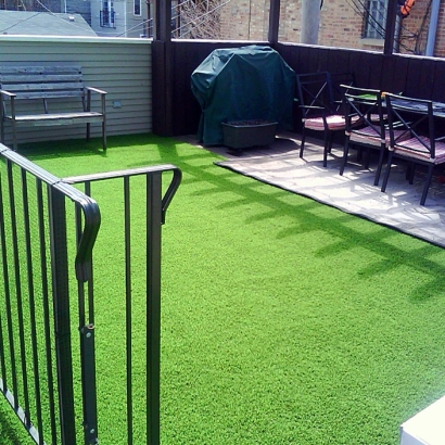 Fake Turf Collierville, Tennessee Roof Top, Backyard Landscaping