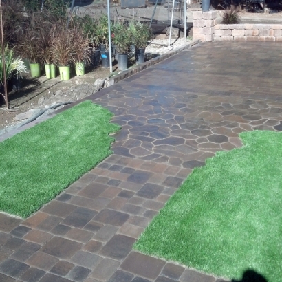 Fake Turf Ferry Pass, Florida Design Ideas, Small Backyard Ideas