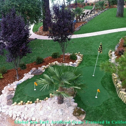 Fake Turf Huntington, West Virginia Lawns, Backyard Design