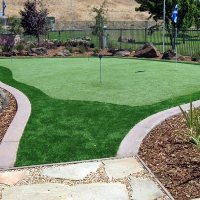 Fake Turf Kendall West, Florida How To Build A Putting Green, Backyard Garden Ideas