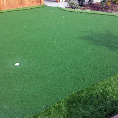 Fake Turf Massillon, Ohio Garden Ideas