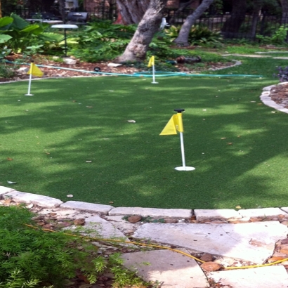 Fake Turf San Marcos, Texas City Landscape, Backyards