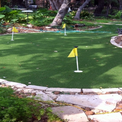 Fake Turf San Marcos, Texas City Landscape, Backyards