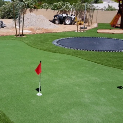 Faux Grass Bergenfield, New Jersey Indoor Putting Green, Backyard