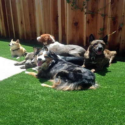 Faux Grass Big Spring, Texas Dog Running, Small Backyard Ideas