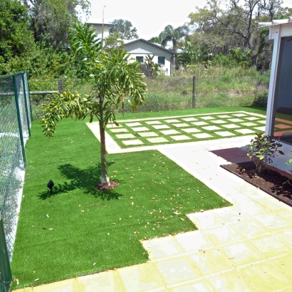 Faux Grass Coral Gables, Florida Lawn And Garden, Backyard Ideas