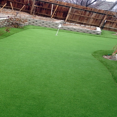 Faux Grass East Palo Alto, California Paver Patio, Backyard Landscaping Ideas