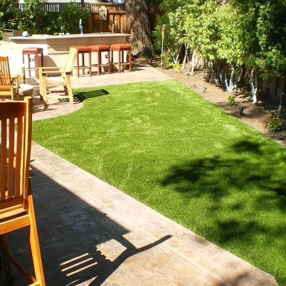Grass Carpet Elmhurst, Illinois Gardeners, Backyard Designs