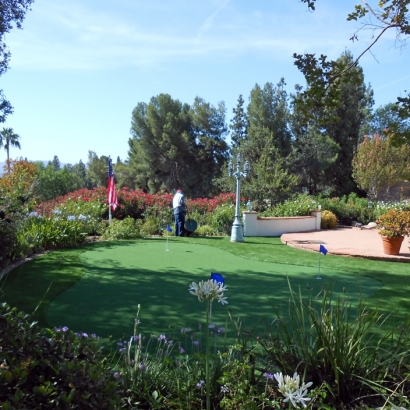 Grass Carpet Mission Bend, Texas Home And Garden, Backyard Ideas