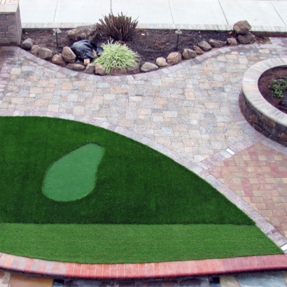 Grass Carpet Newark, Delaware How To Build A Putting Green, Front Yard Design