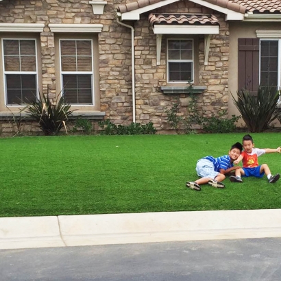 Grass Carpet Plainview, New York Front Yard Landscaping