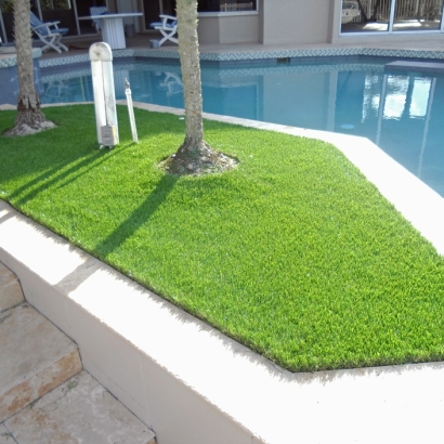 Grass Installation Pearl City, Hawaii Home And Garden, Swimming Pool Designs