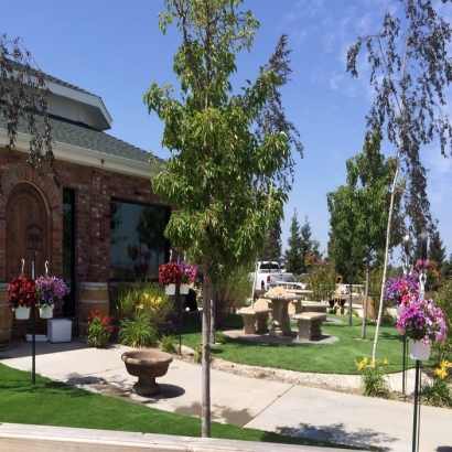 Grass Turf Antelope, California City Landscape, Commercial Landscape