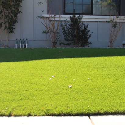 Grass Turf Eureka, California Landscape Photos, Front Yard Landscaping Ideas