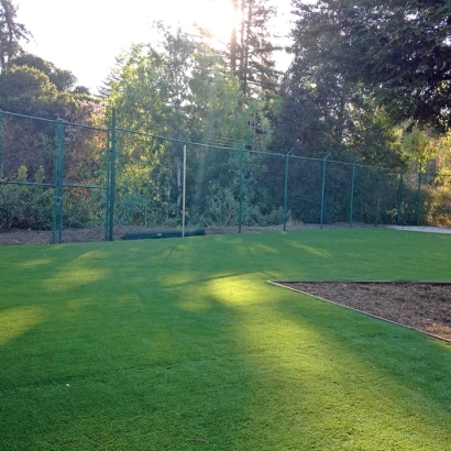 Grass Turf San Bruno, California Landscape Photos, Parks