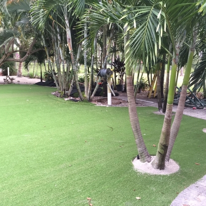 Green Lawn Anderson, South Carolina Landscape Ideas, Commercial Landscape