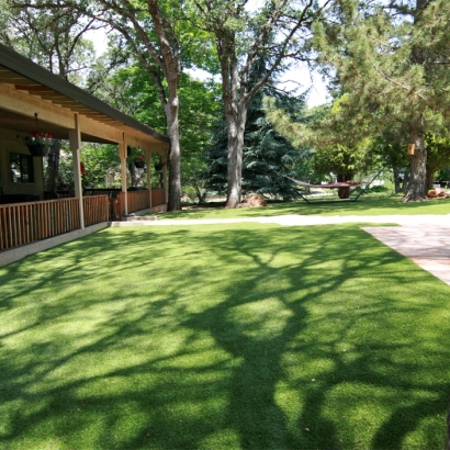 Green Lawn Calexico, California Fake Grass For Dogs, Backyard Landscaping Ideas