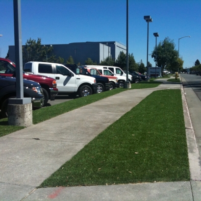 Green Lawn East Providence, Rhode Island Lawn And Landscape, Commercial Landscape