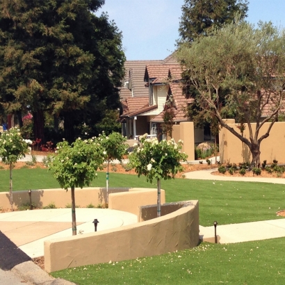 Green Lawn Monterey, California Gardeners, Front Yard