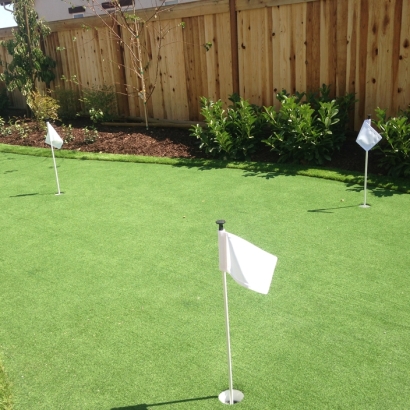 Green Lawn Ocoee, Florida Diy Putting Green, Backyard