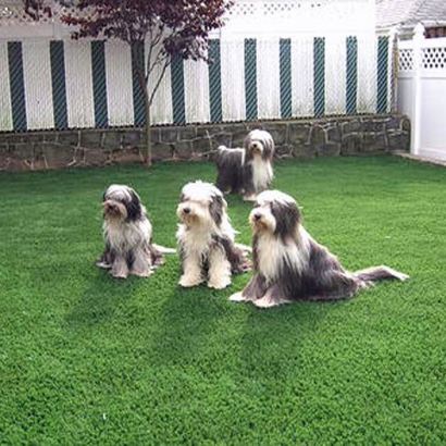 Installing Artificial Grass Hinesville, Georgia Garden Ideas, Grass for Dogs