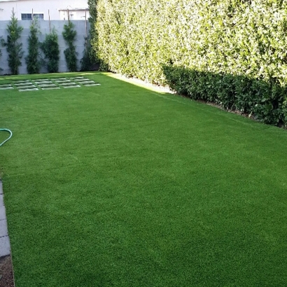 Installing Artificial Grass Spanish Fork, Utah Cat Grass, Backyard Landscaping