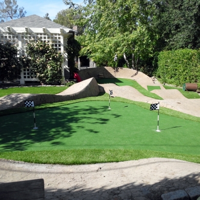 Lawn Services Cottage Grove, Minnesota Putting Green Flags, Beautiful Backyards