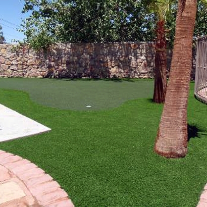 Lawn Services Franklin, Wisconsin Artificial Putting Greens, Backyard Designs