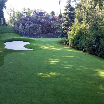 Outdoor Carpet Ashburn, Virginia Diy Putting Green, Commercial Landscape