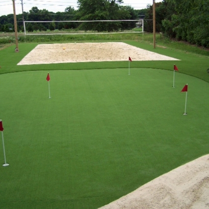 Outdoor Carpet Madison, Alabama Landscape Ideas, Backyard Designs