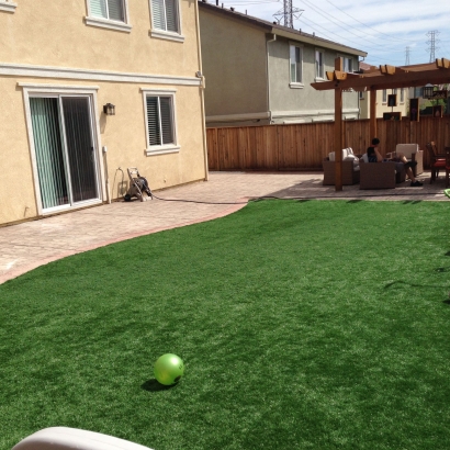 Plastic Grass Central, Louisiana Lacrosse Playground, Small Backyard Ideas