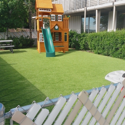 Plastic Grass Garden City, Michigan Playground, Backyard