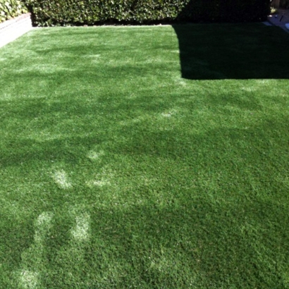 Plastic Grass La Vergne, Tennessee Design Ideas, Backyard Ideas