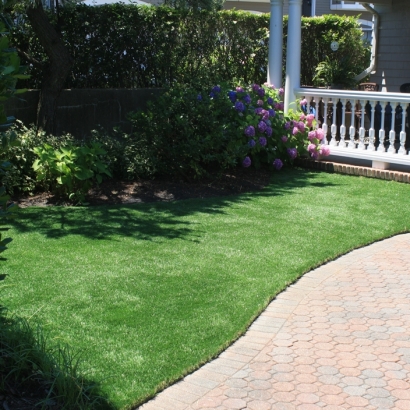 Plastic Grass Seaside, California Backyard Playground, Small Front Yard Landscaping