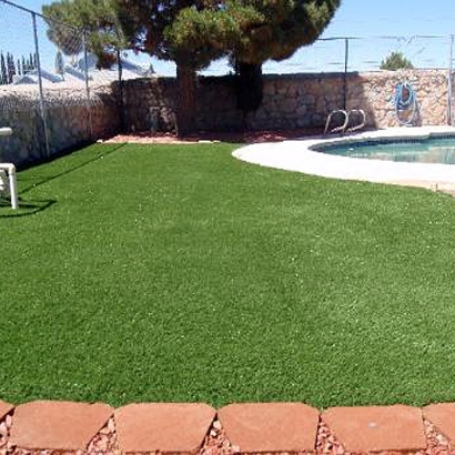 Plastic Grass Texarkana, Arkansas Indoor Dog Park, Natural Swimming Pools