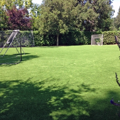 Synthetic Grass Cost Findlay, Ohio Backyard Playground, Backyard Landscaping Ideas