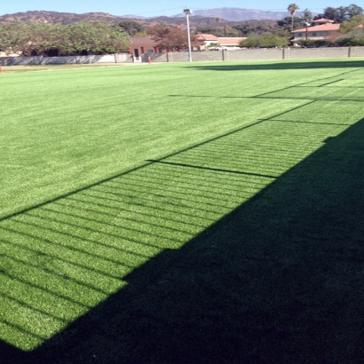 Synthetic Grass Cost Foster City, California Landscaping